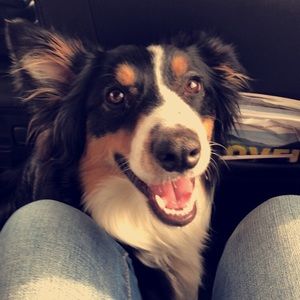 Meet your Posher, Bryanna